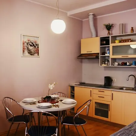 Apartament In Medieval Part Of Old Ryga